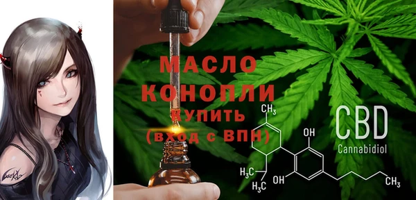 хмурый Надым